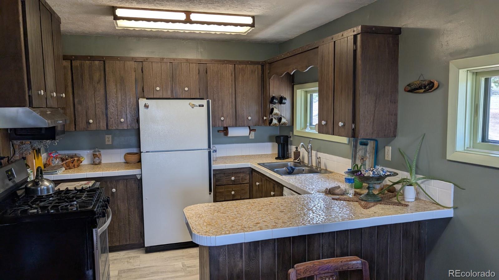 MLS Image #4 for 1087  pulver road,lake george, Colorado