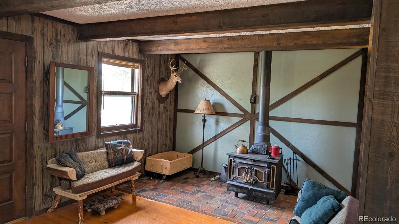 MLS Image #5 for 1087  pulver road,lake george, Colorado
