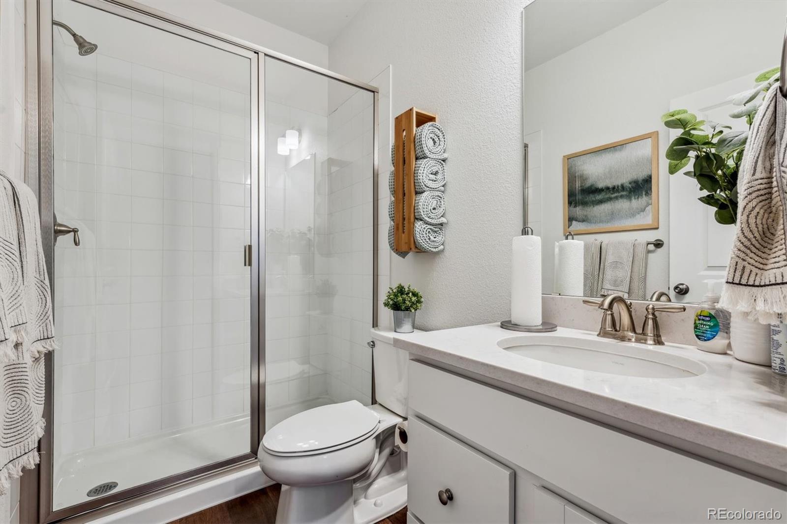MLS Image #11 for 14398  ranch street,mead, Colorado