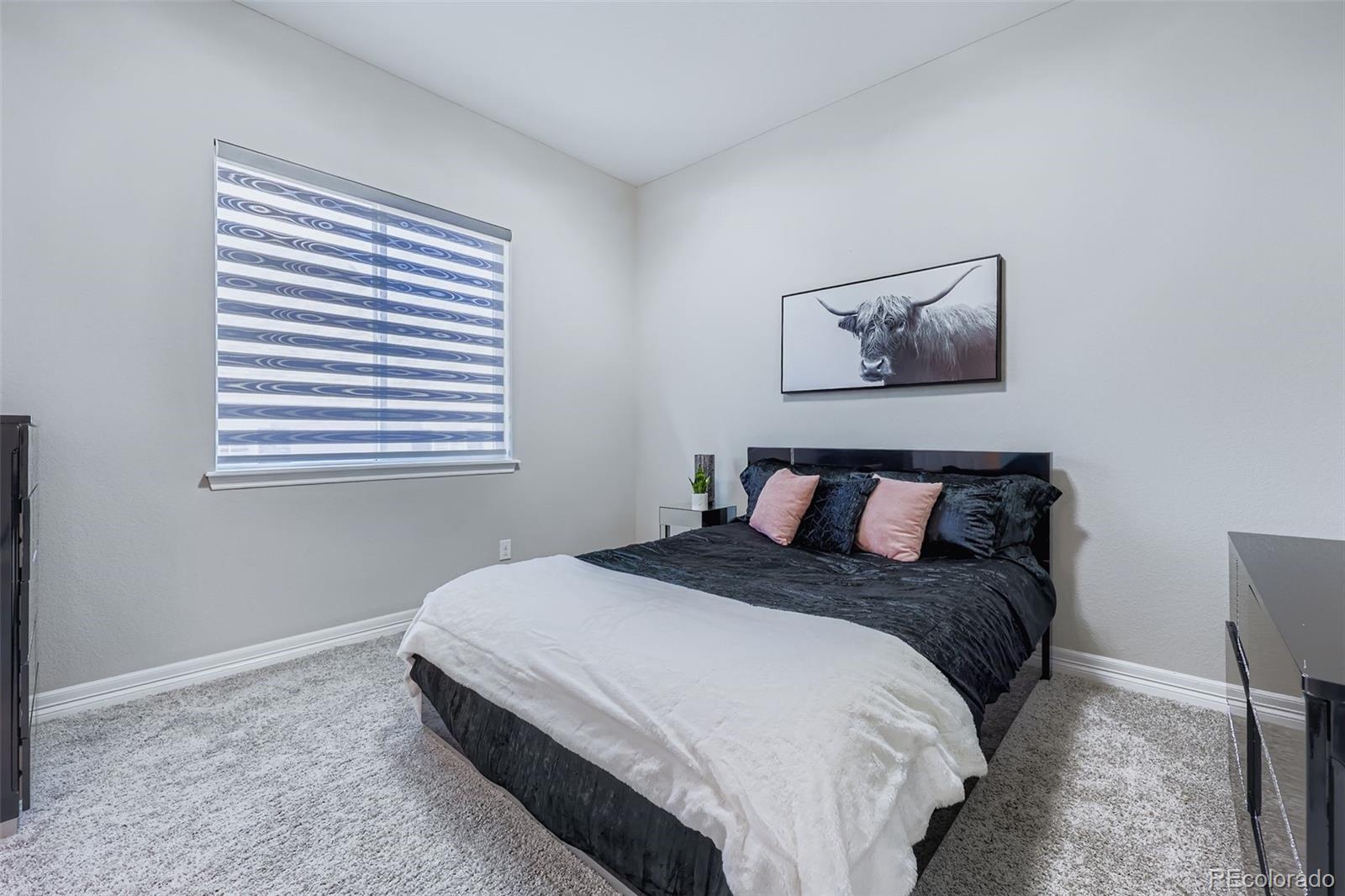 MLS Image #27 for 6087  leilani drive,castle rock, Colorado