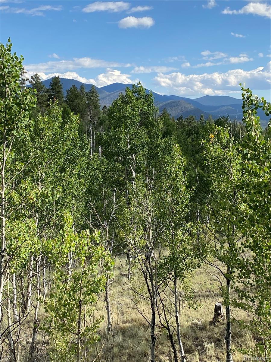 MLS Image #10 for 259  bordenville road,jefferson, Colorado