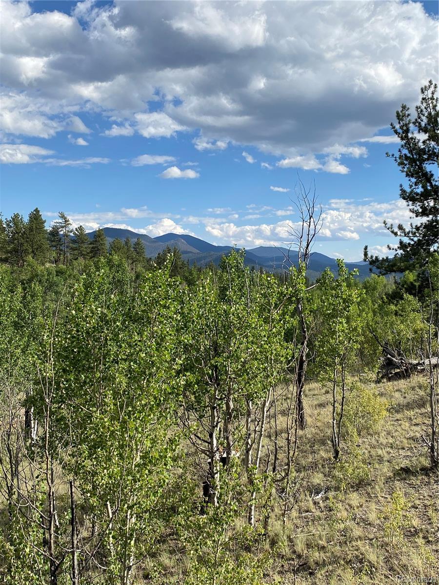 MLS Image #11 for 259  bordenville road,jefferson, Colorado