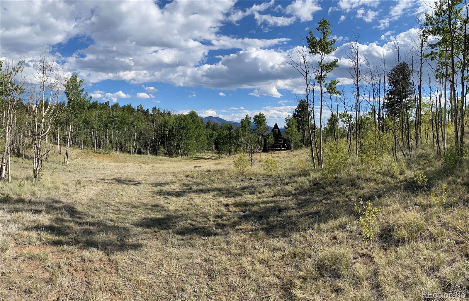 MLS Image #13 for 259  bordenville road,jefferson, Colorado