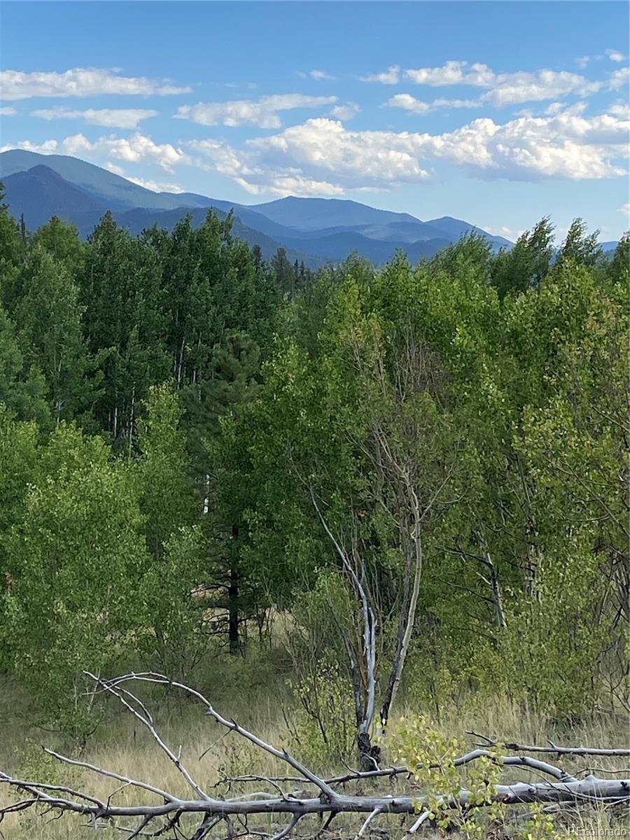MLS Image #2 for 259  bordenville road,jefferson, Colorado