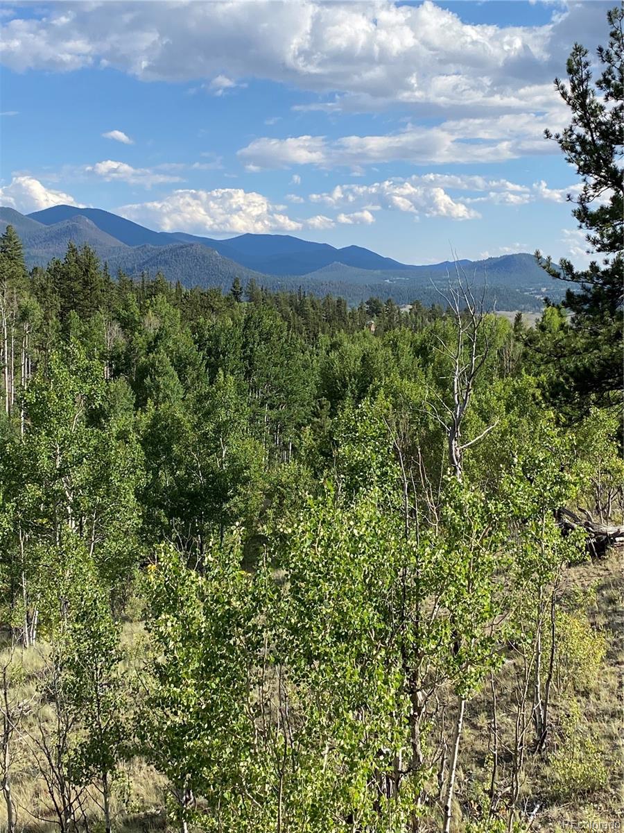 MLS Image #26 for 259  bordenville road,jefferson, Colorado