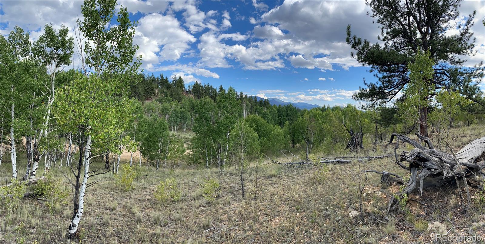 MLS Image #3 for 259  bordenville road,jefferson, Colorado