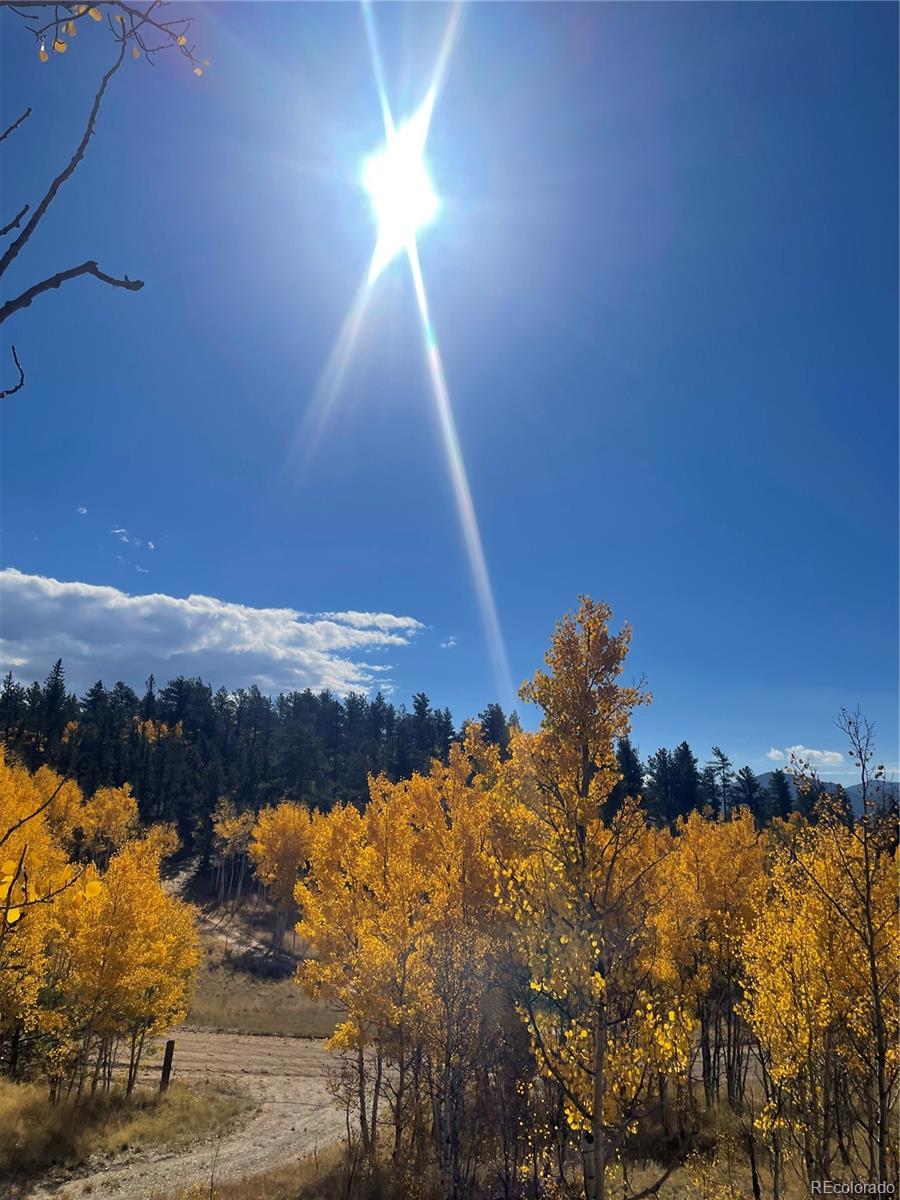 MLS Image #39 for 259  bordenville road,jefferson, Colorado