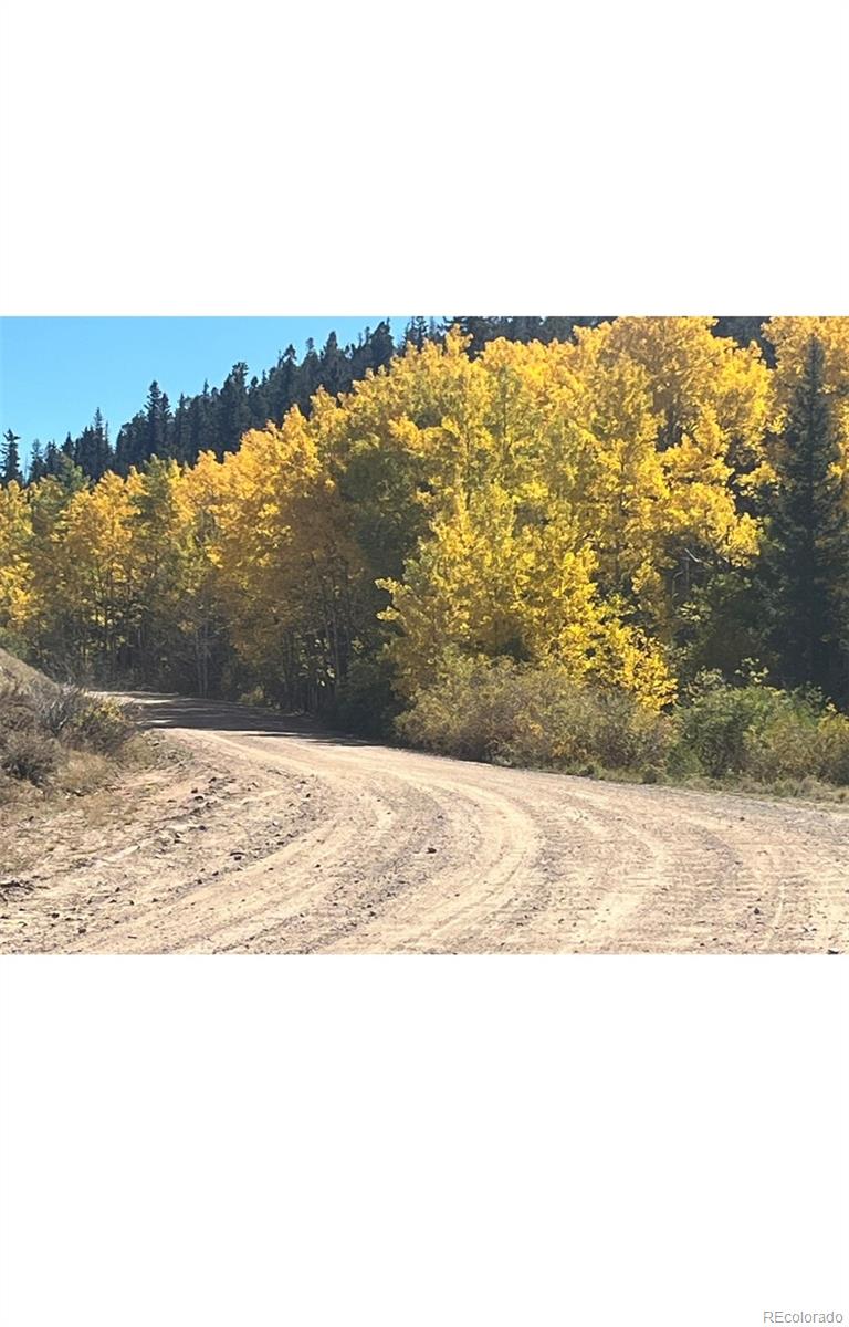MLS Image #44 for 259  bordenville road,jefferson, Colorado