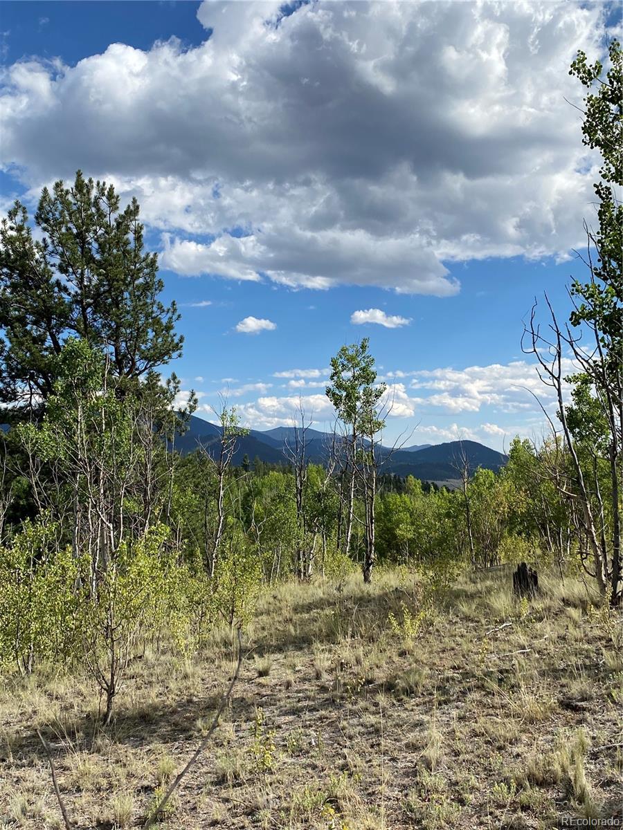 MLS Image #5 for 259  bordenville road,jefferson, Colorado