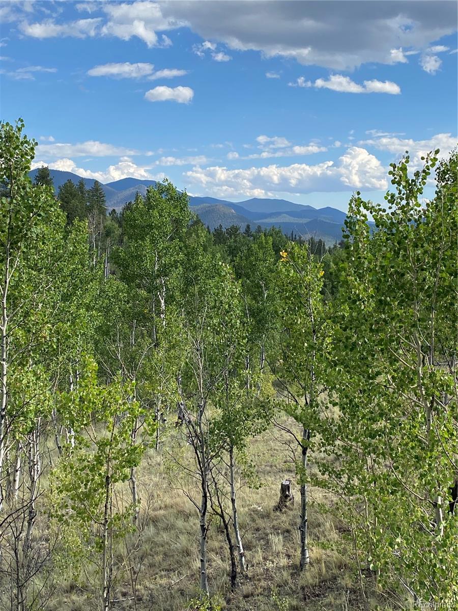 MLS Image #9 for 259  bordenville road,jefferson, Colorado
