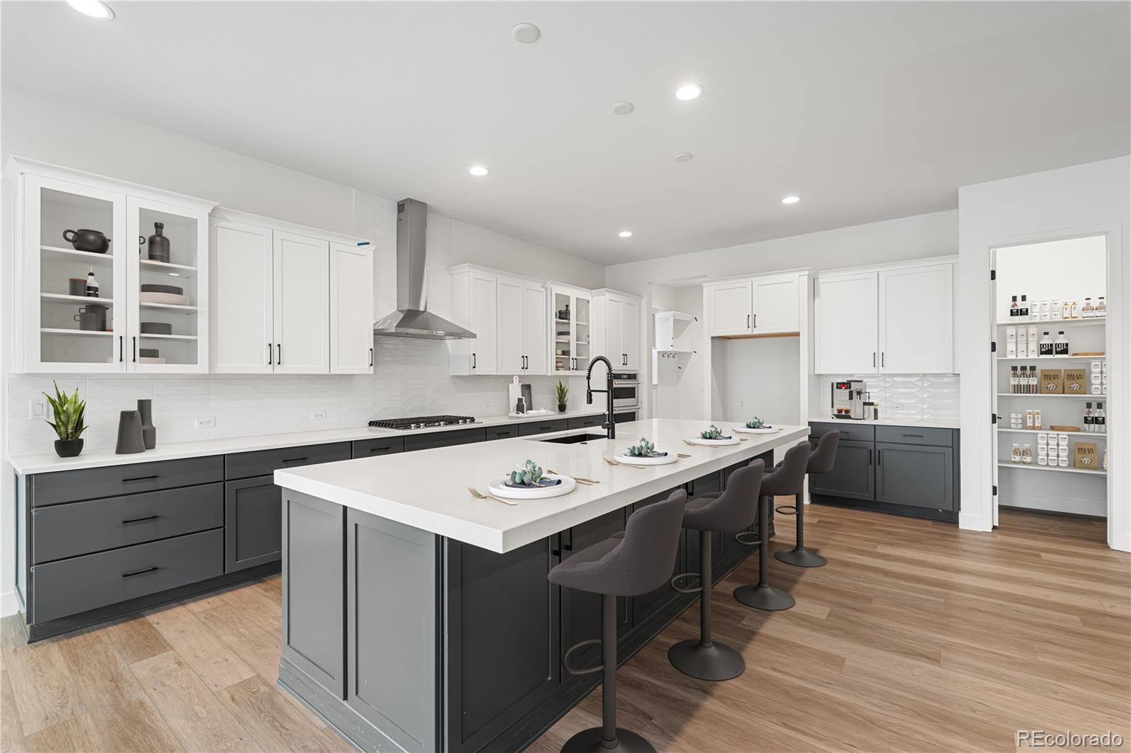 MLS Image #1 for 11462  autumn moon street,littleton, Colorado