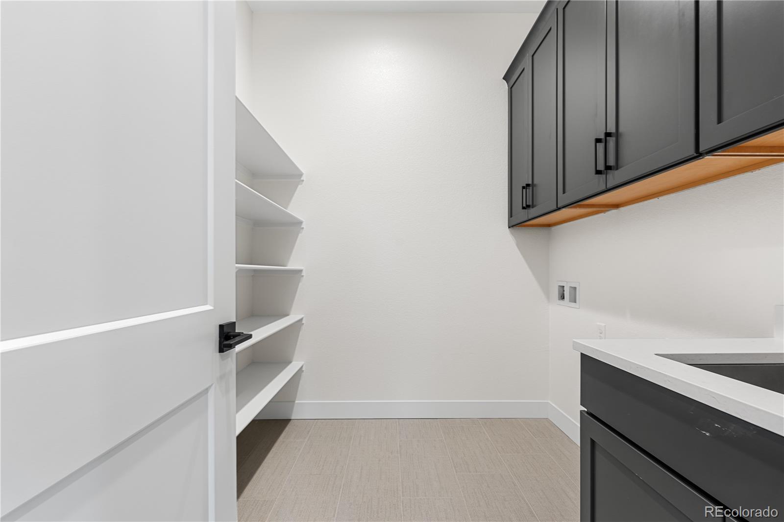 MLS Image #11 for 11462  autumn moon street,littleton, Colorado
