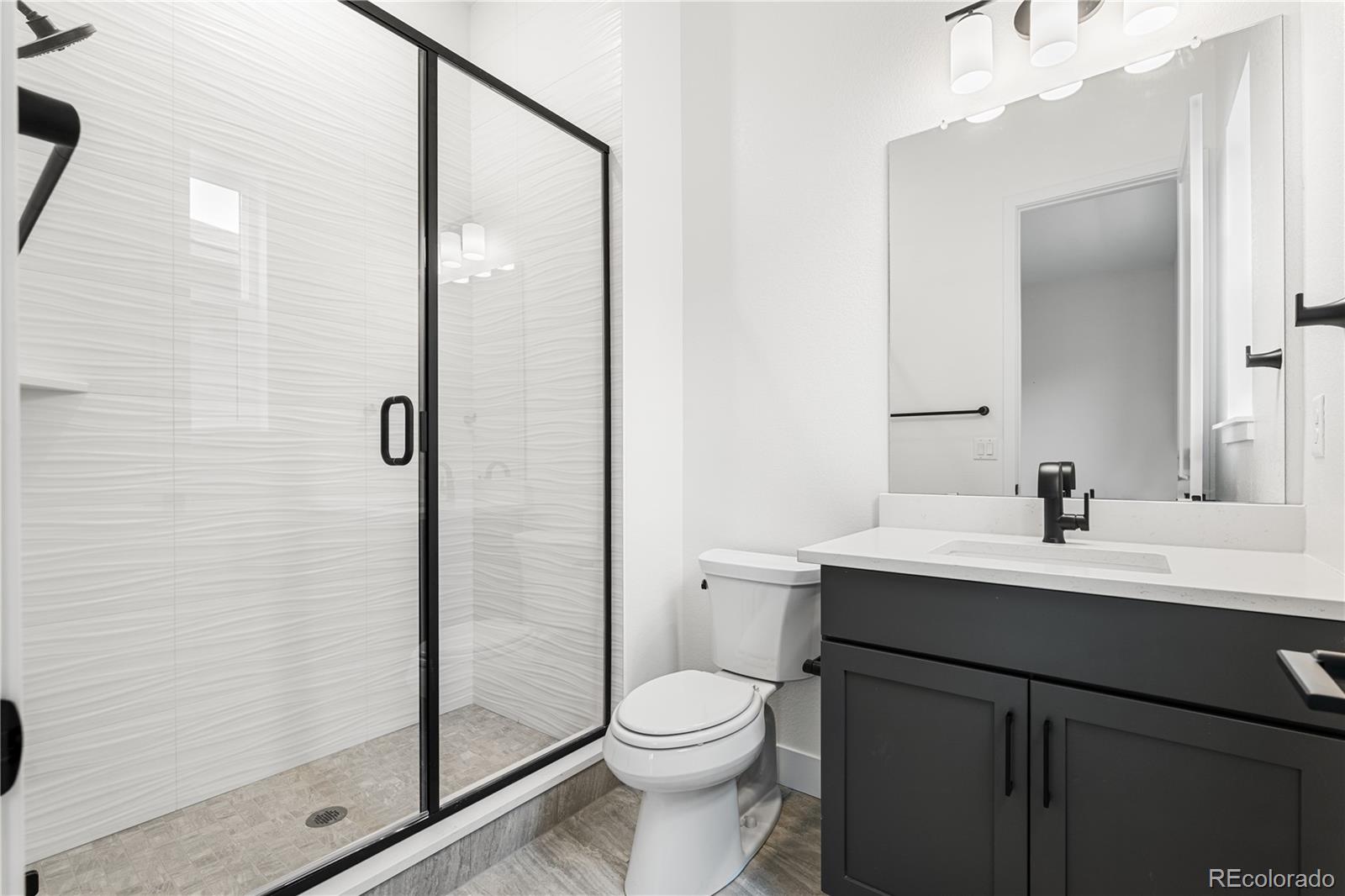MLS Image #14 for 11462  autumn moon street,littleton, Colorado