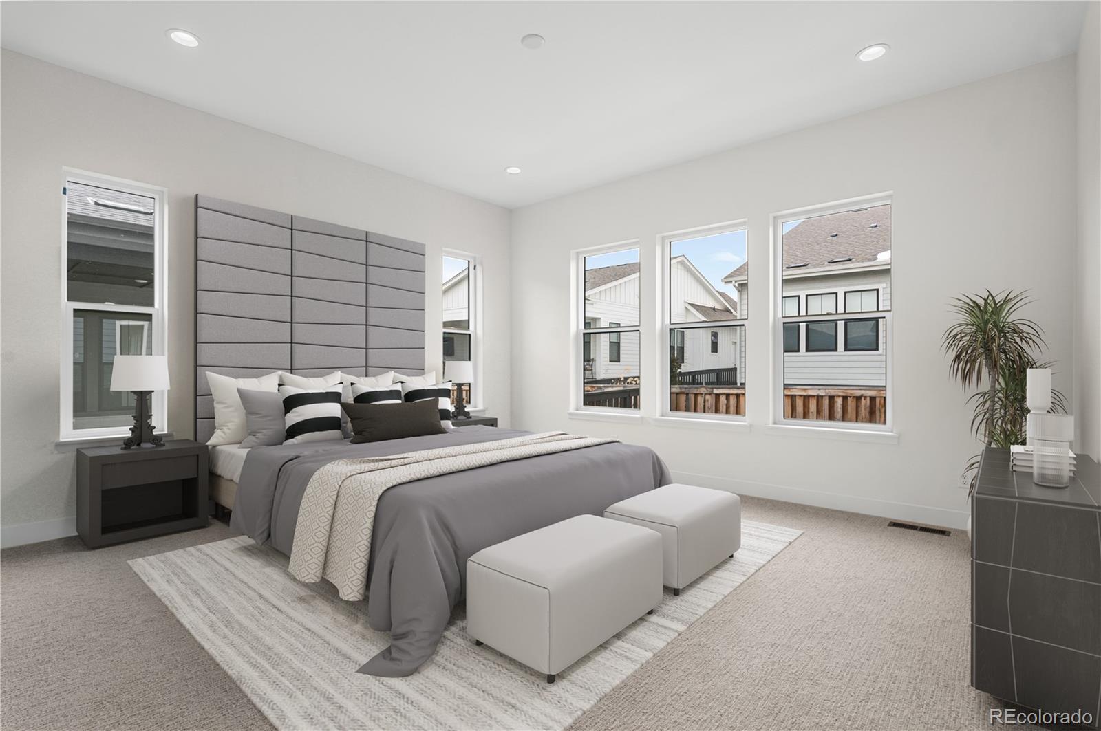 MLS Image #16 for 11462  autumn moon street,littleton, Colorado