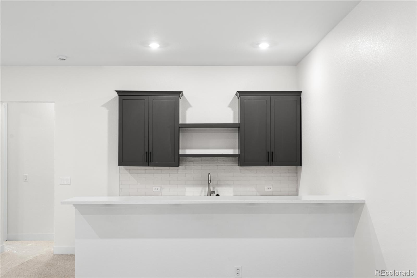 MLS Image #22 for 11462  autumn moon street,littleton, Colorado