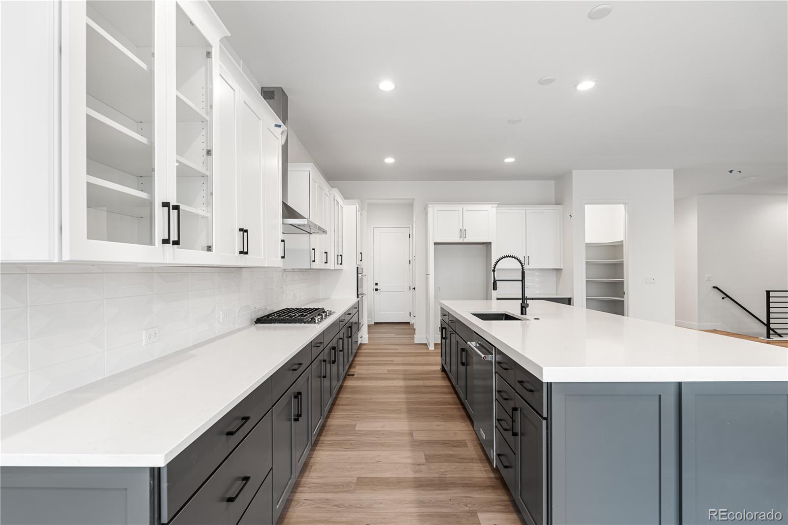 MLS Image #3 for 11462  autumn moon street,littleton, Colorado