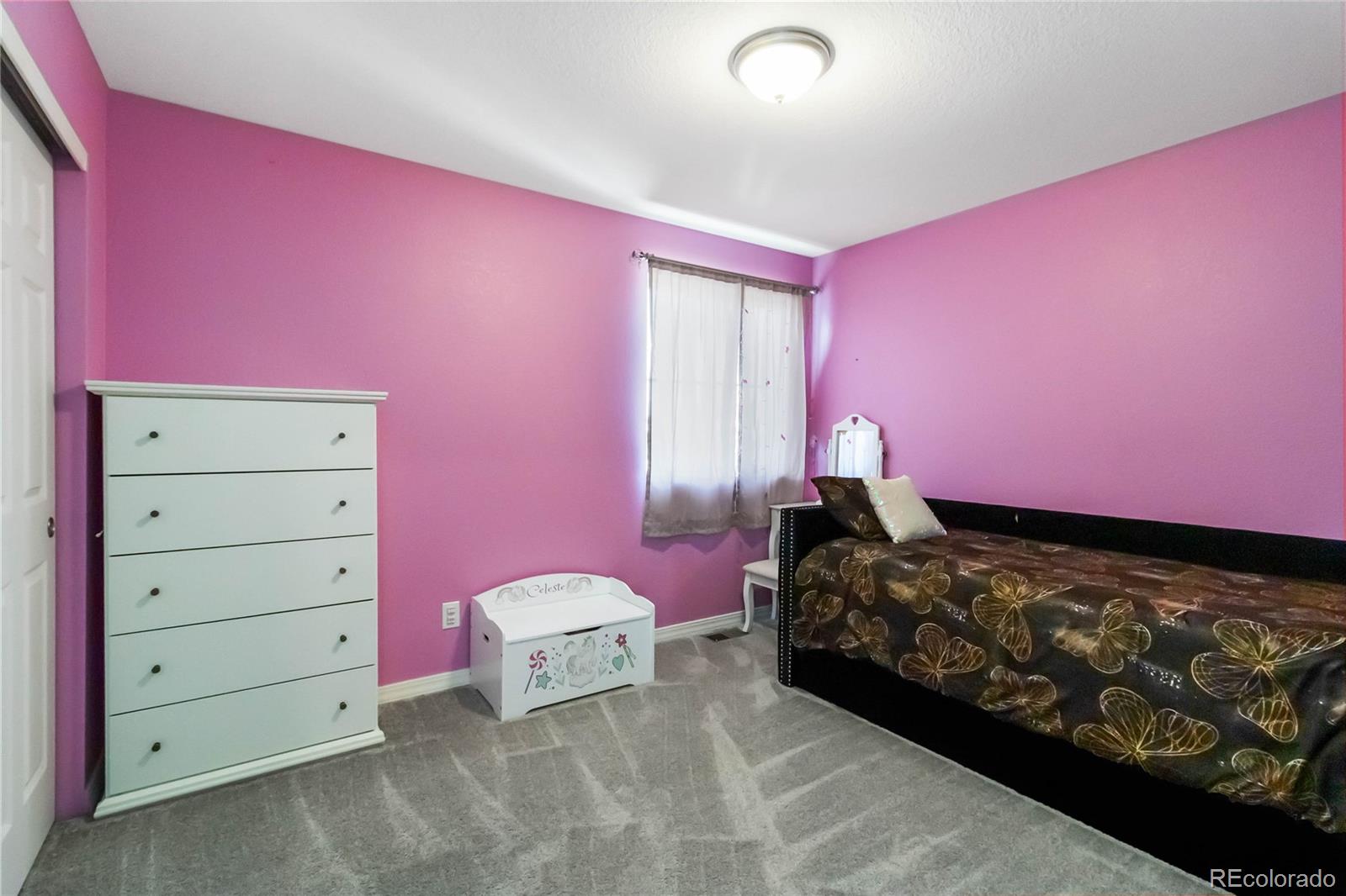 MLS Image #19 for 17439 e 103rd place,commerce city, Colorado
