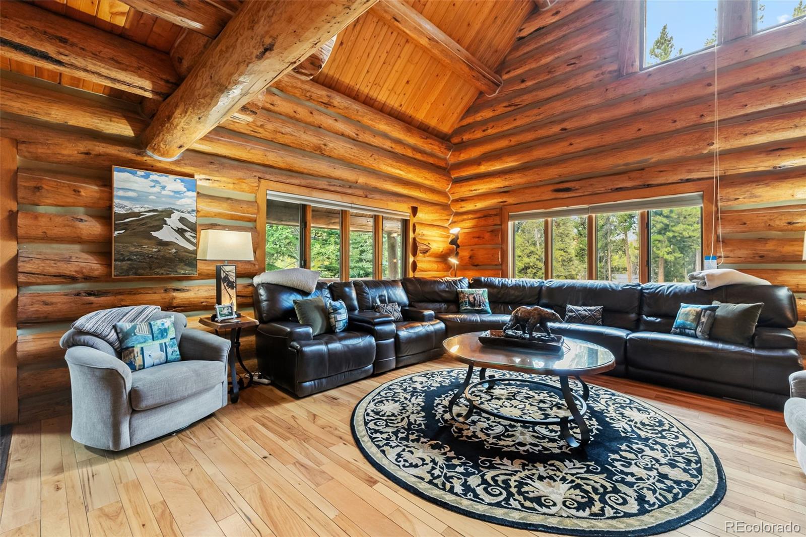 MLS Image #1 for 46  indiana creek road,breckenridge, Colorado