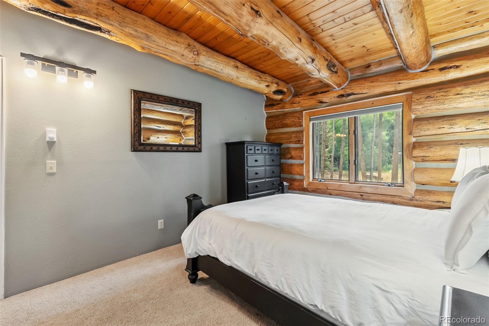 MLS Image #10 for 46  indiana creek road,breckenridge, Colorado