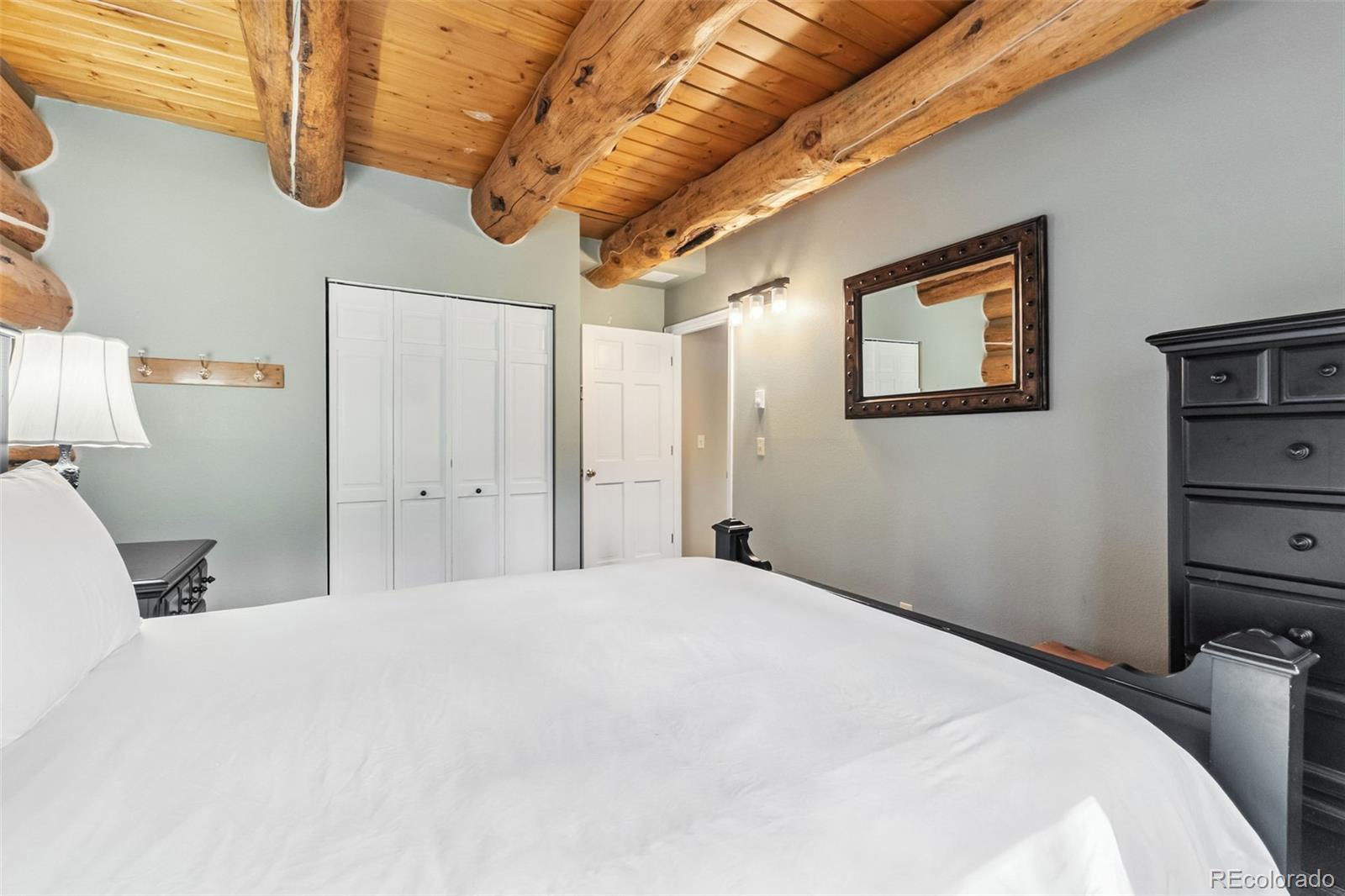 MLS Image #11 for 46  indiana creek road,breckenridge, Colorado