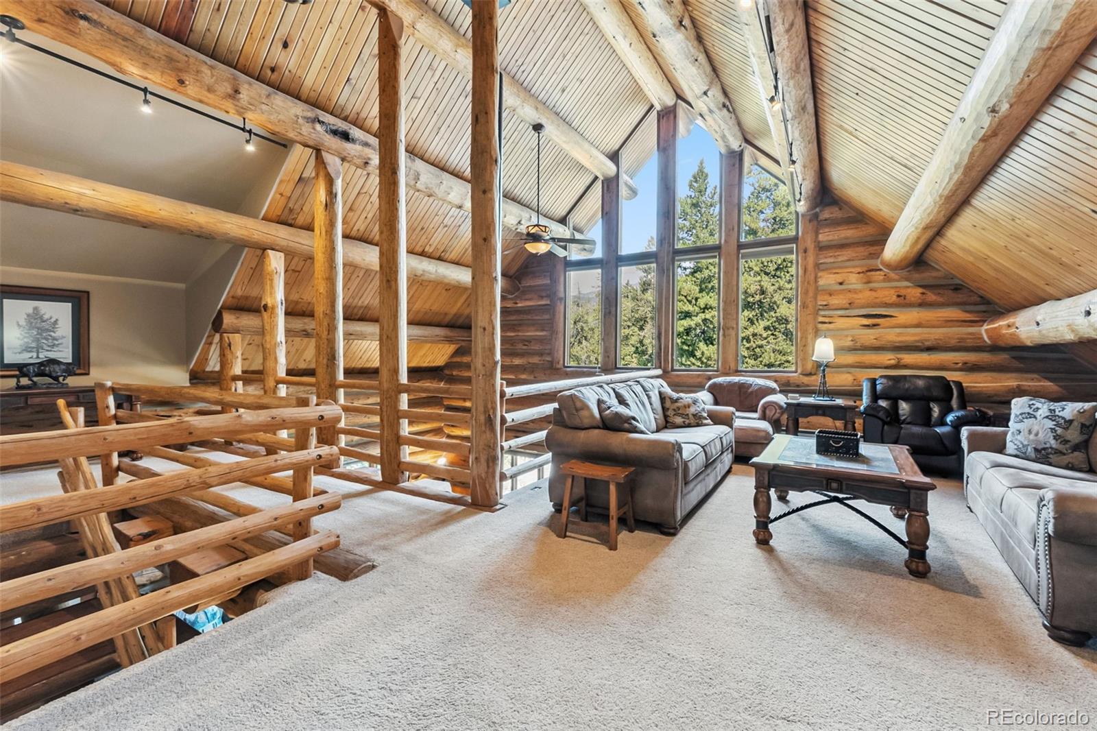 MLS Image #13 for 46  indiana creek road,breckenridge, Colorado