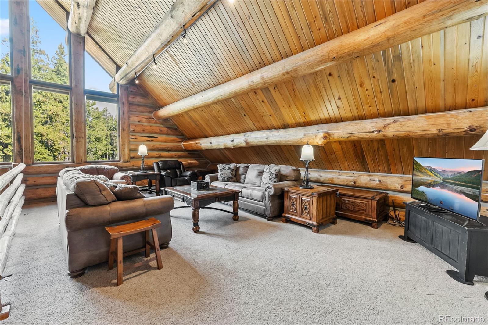 MLS Image #14 for 46  indiana creek road,breckenridge, Colorado