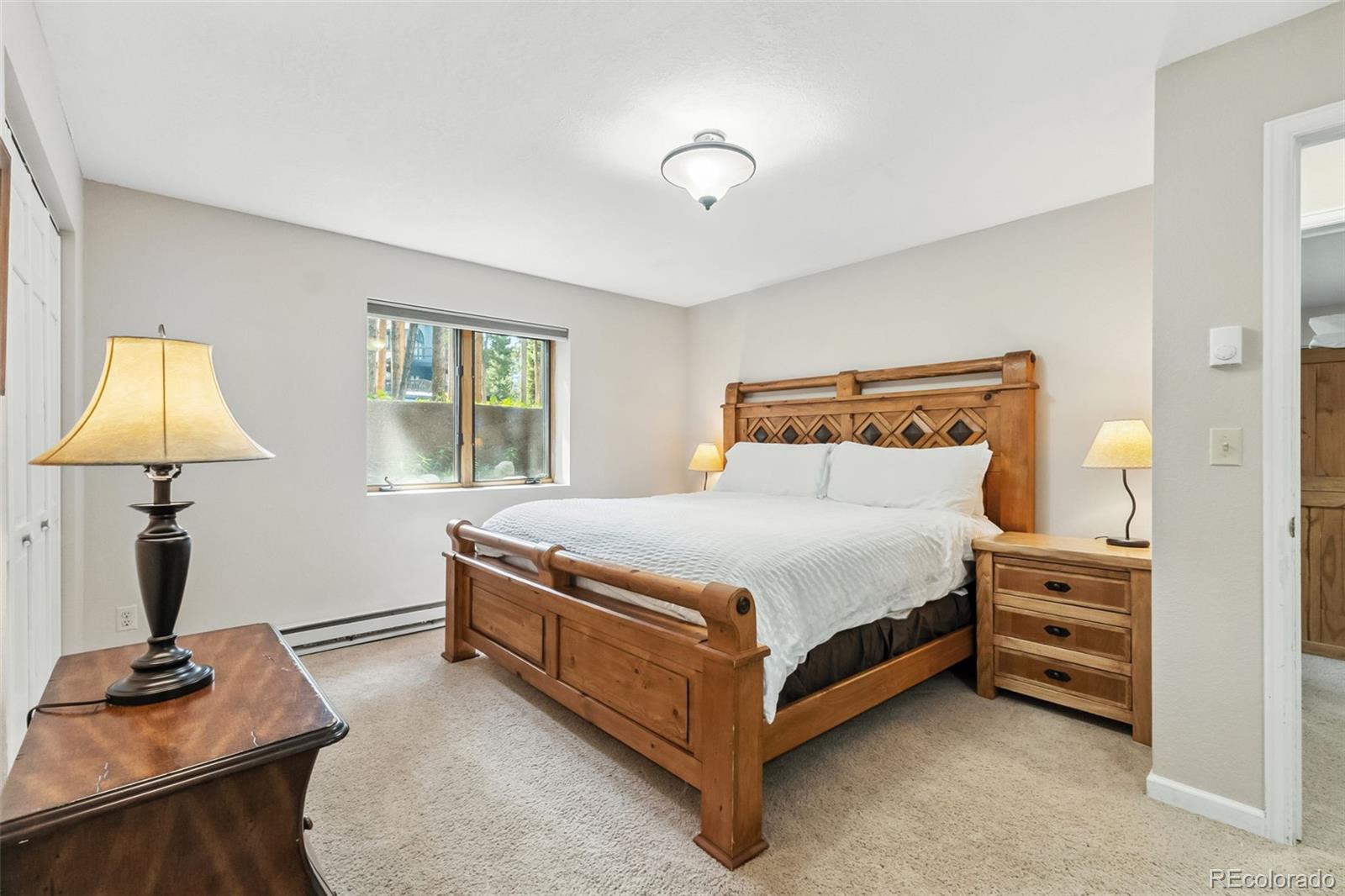 MLS Image #24 for 46  indiana creek road,breckenridge, Colorado