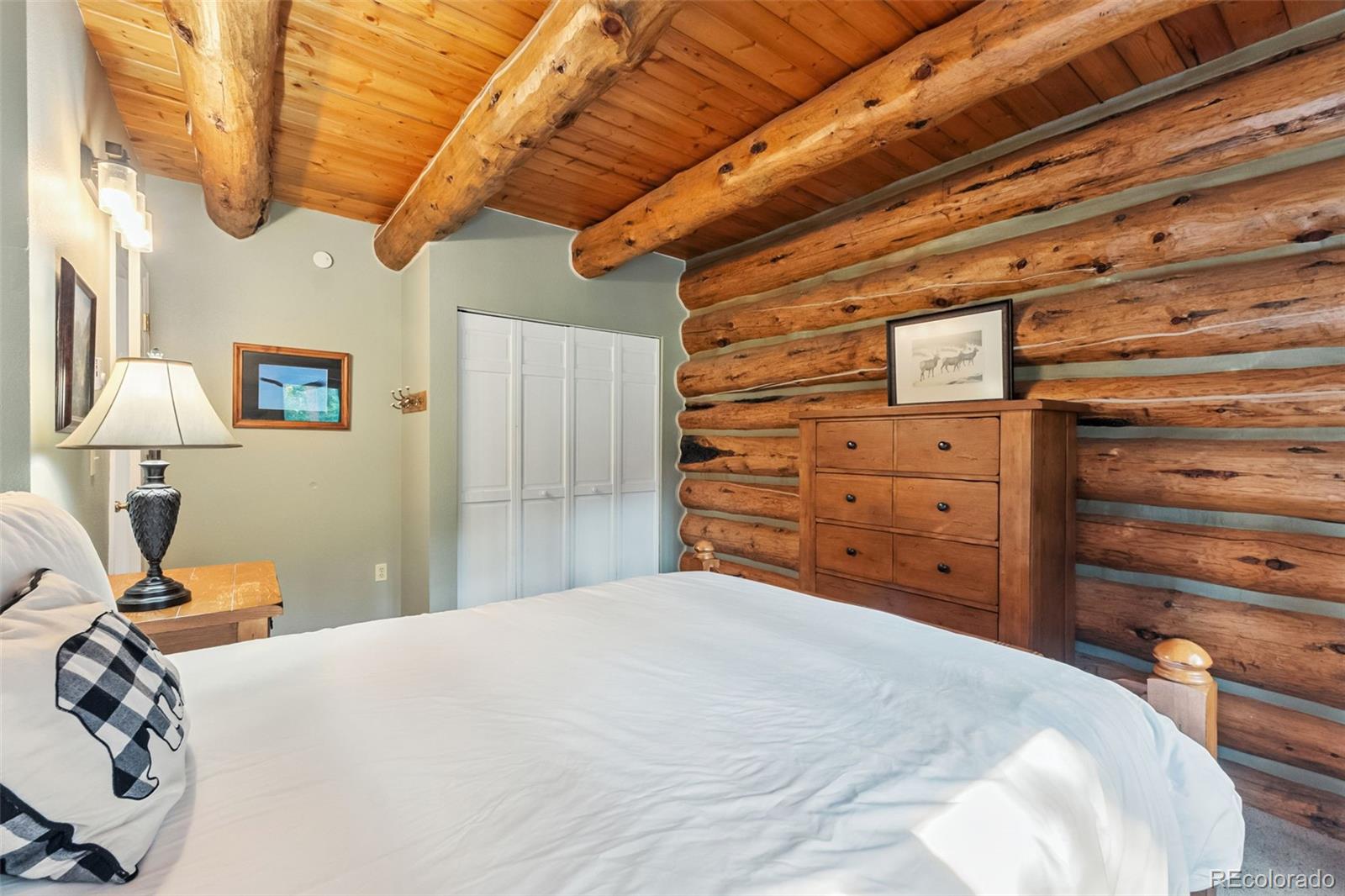MLS Image #8 for 46  indiana creek road,breckenridge, Colorado