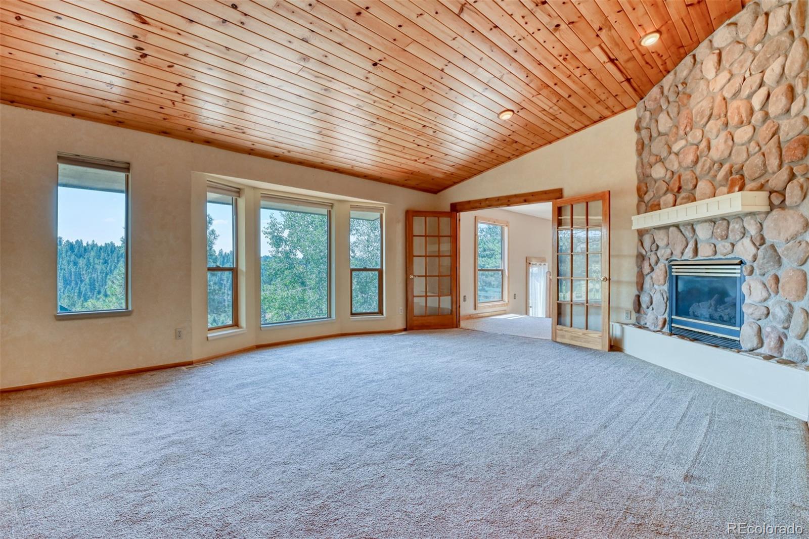 MLS Image #12 for 104  beaver lake drive,divide, Colorado