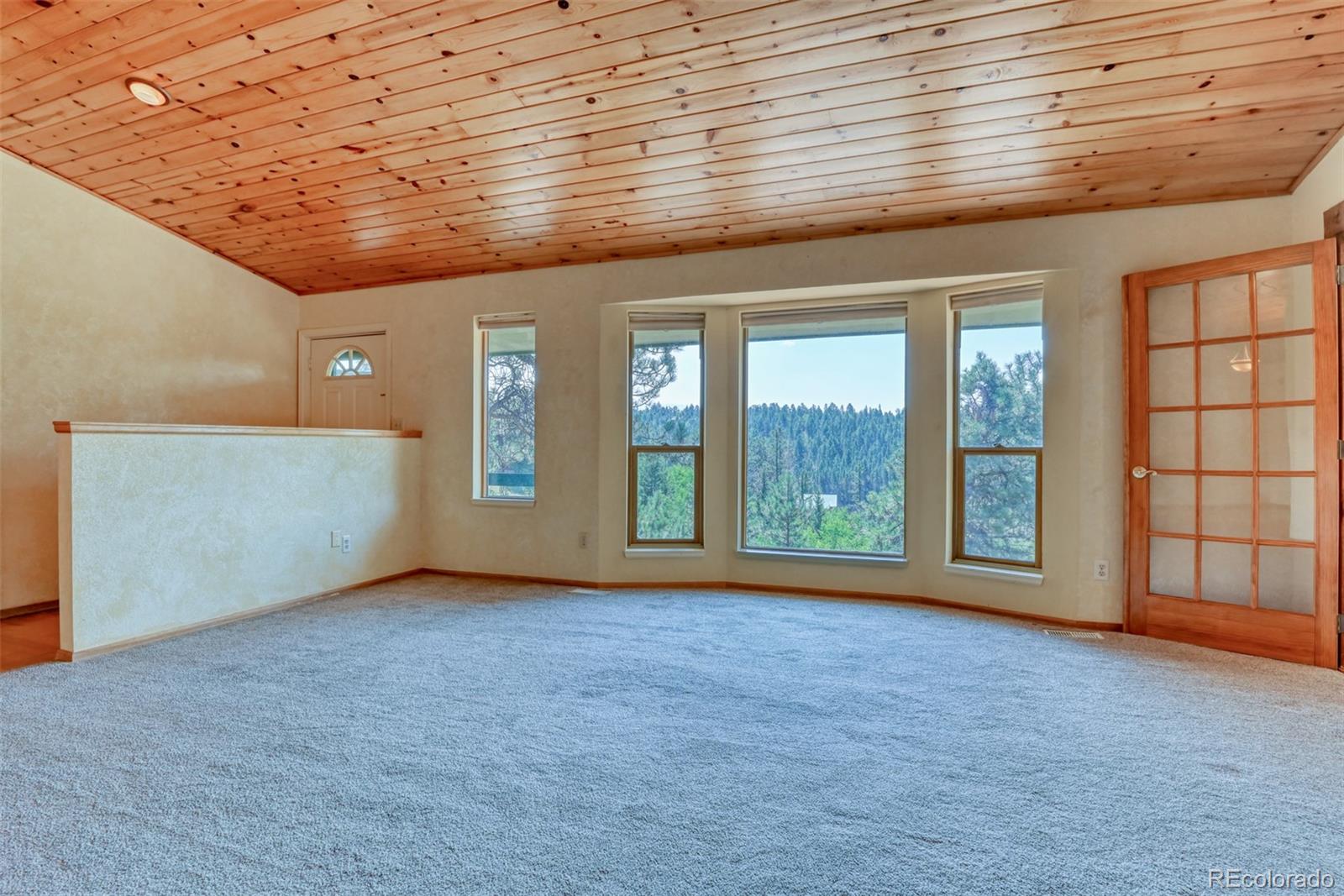 MLS Image #13 for 104  beaver lake drive,divide, Colorado