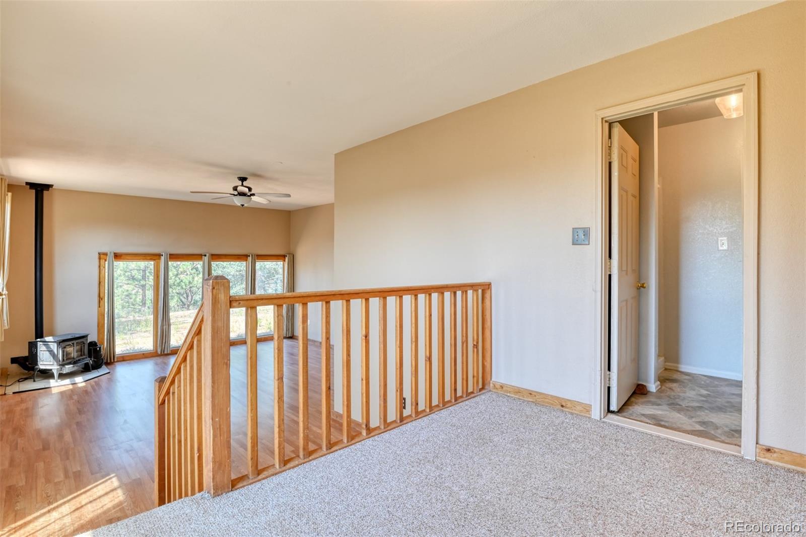MLS Image #15 for 104  beaver lake drive,divide, Colorado