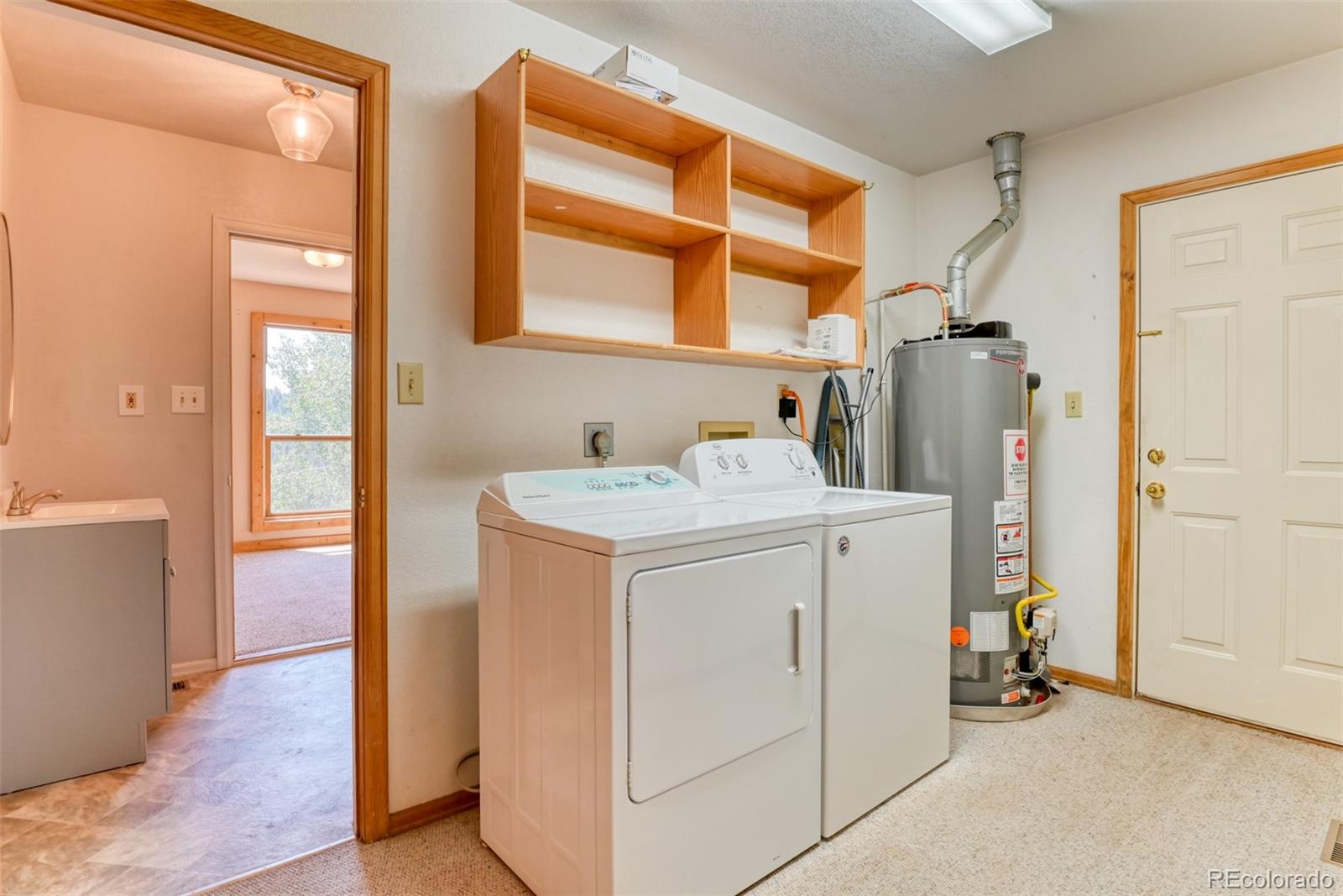 MLS Image #20 for 104  beaver lake drive,divide, Colorado