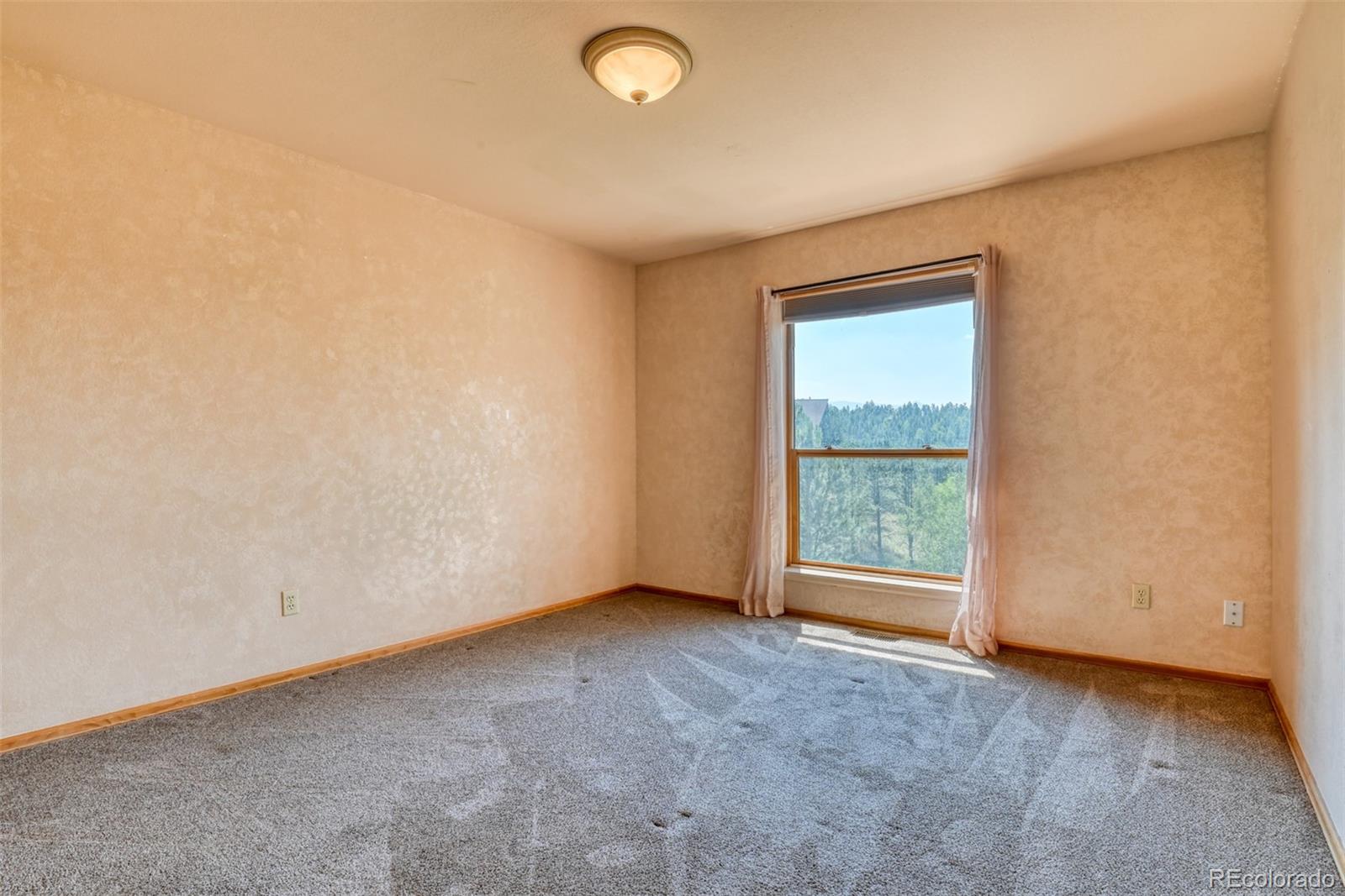 MLS Image #27 for 104  beaver lake drive,divide, Colorado