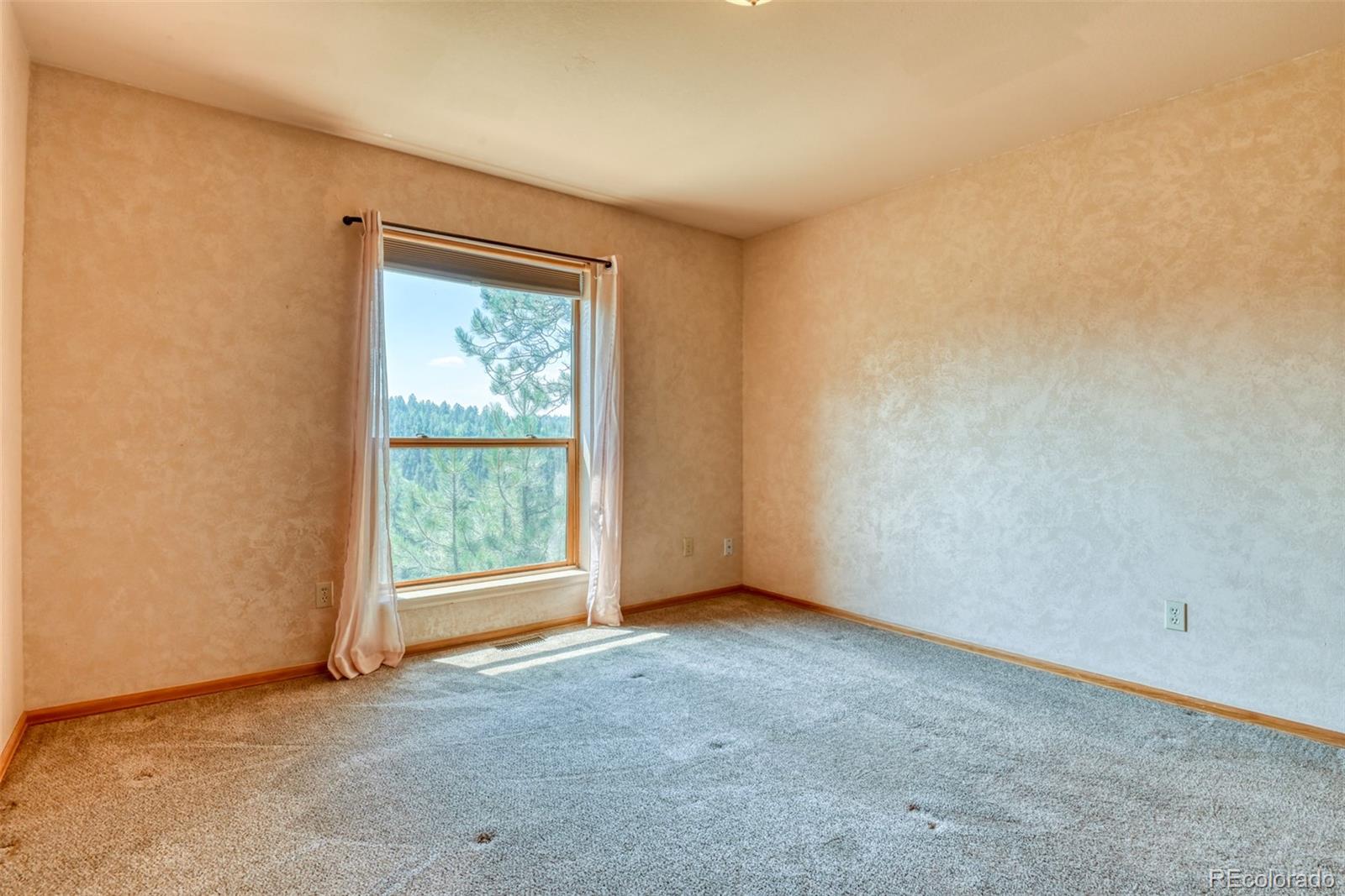 MLS Image #30 for 104  beaver lake drive,divide, Colorado