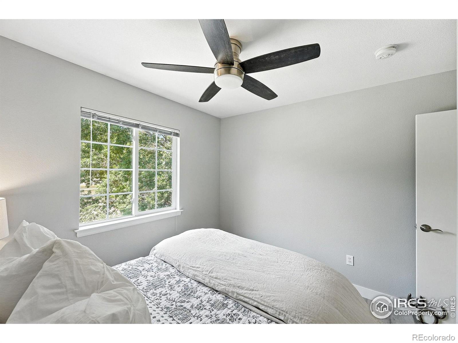 MLS Image #23 for 1818  clover creek drive,longmont, Colorado