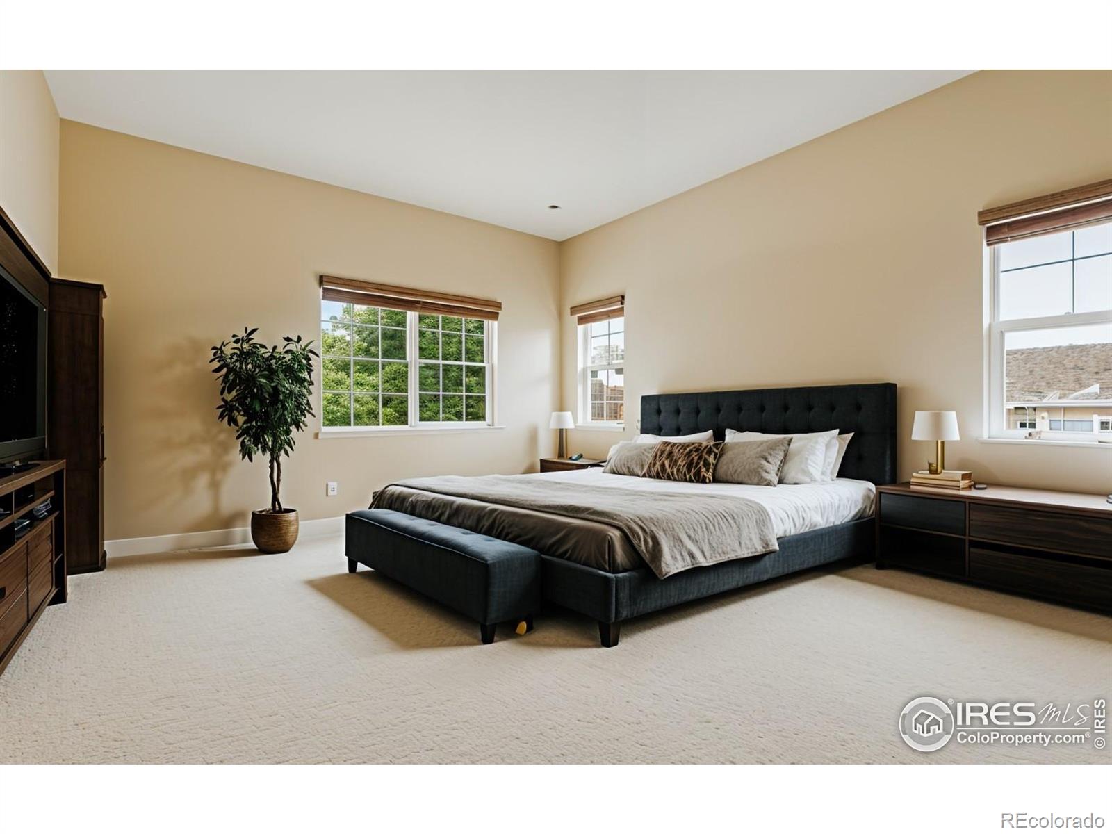 MLS Image #18 for 5038  brookfield drive,fort collins, Colorado