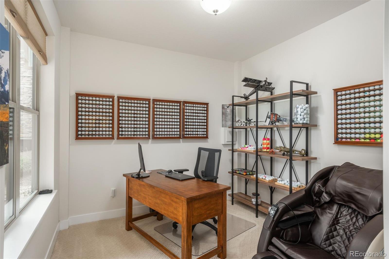 MLS Image #24 for 10263  spring green drive ,englewood, Colorado