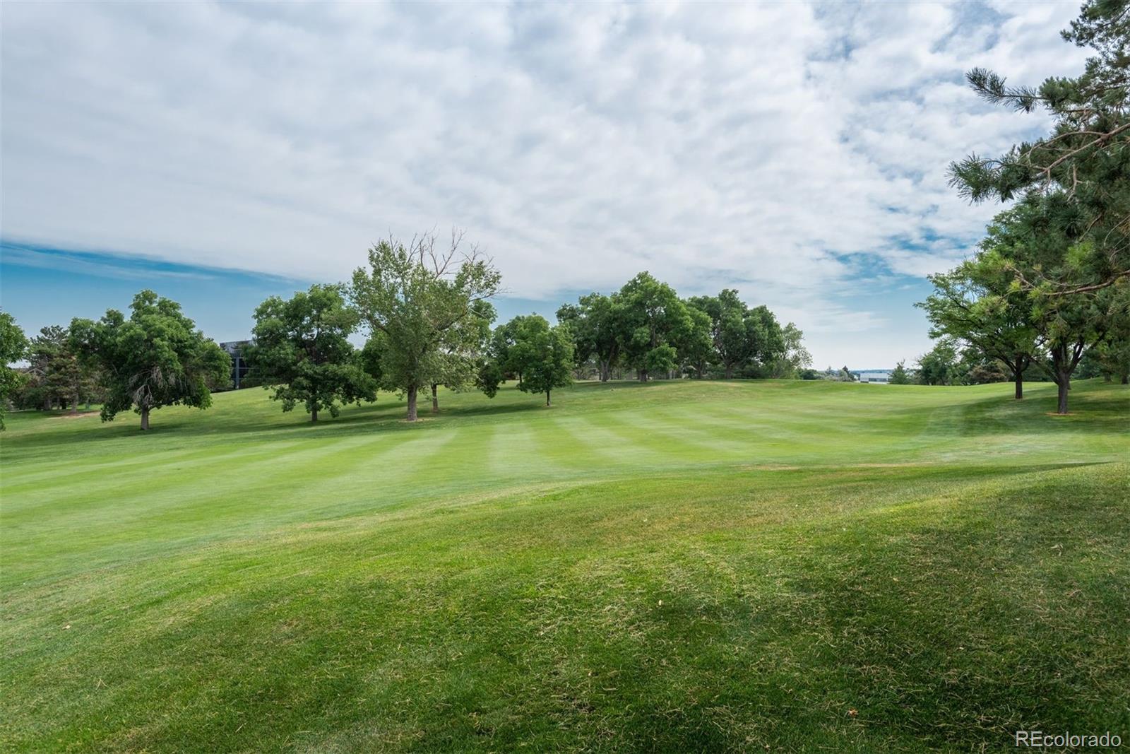 MLS Image #30 for 10263  spring green drive ,englewood, Colorado