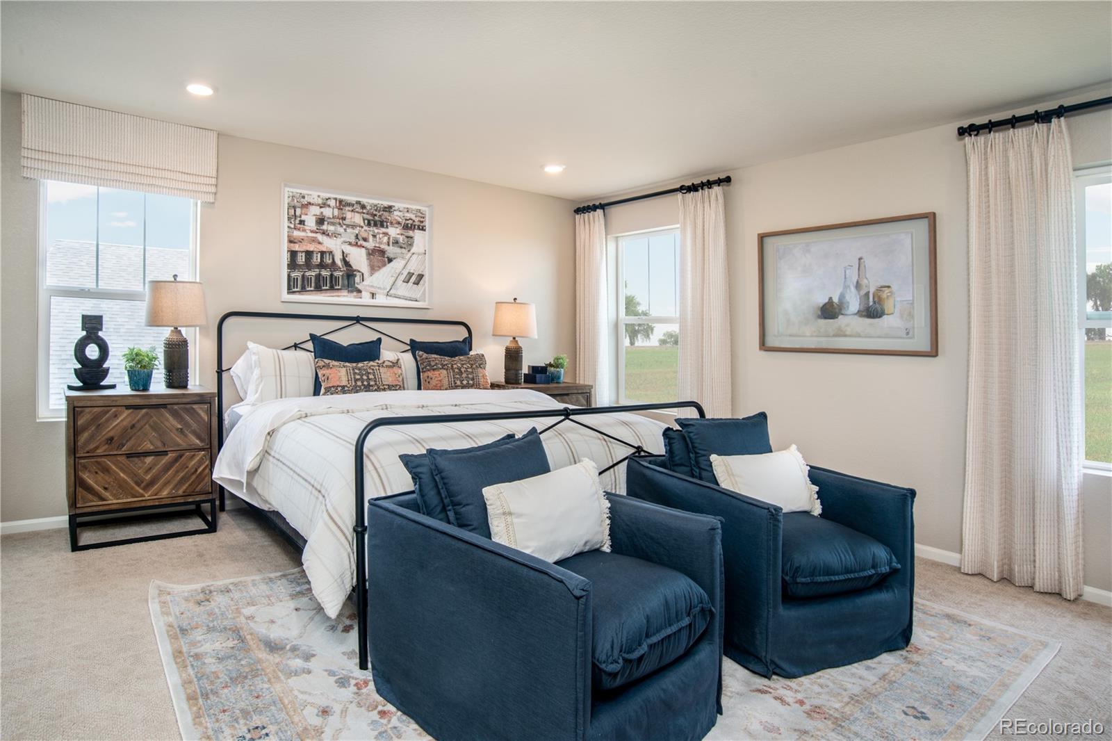 MLS Image #6 for 15384  ivy street,brighton, Colorado