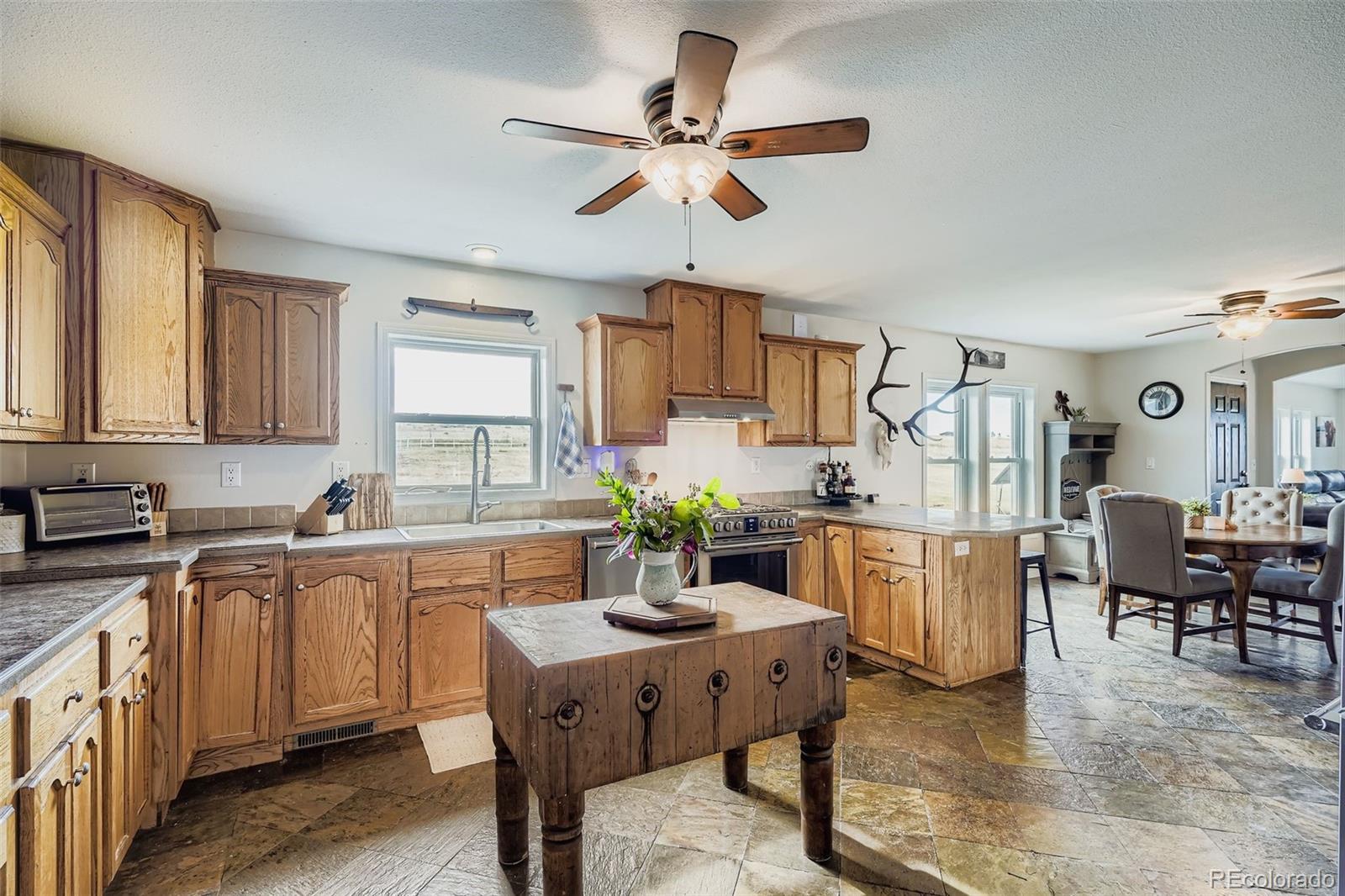 MLS Image #16 for 26540  flower circle,simla, Colorado