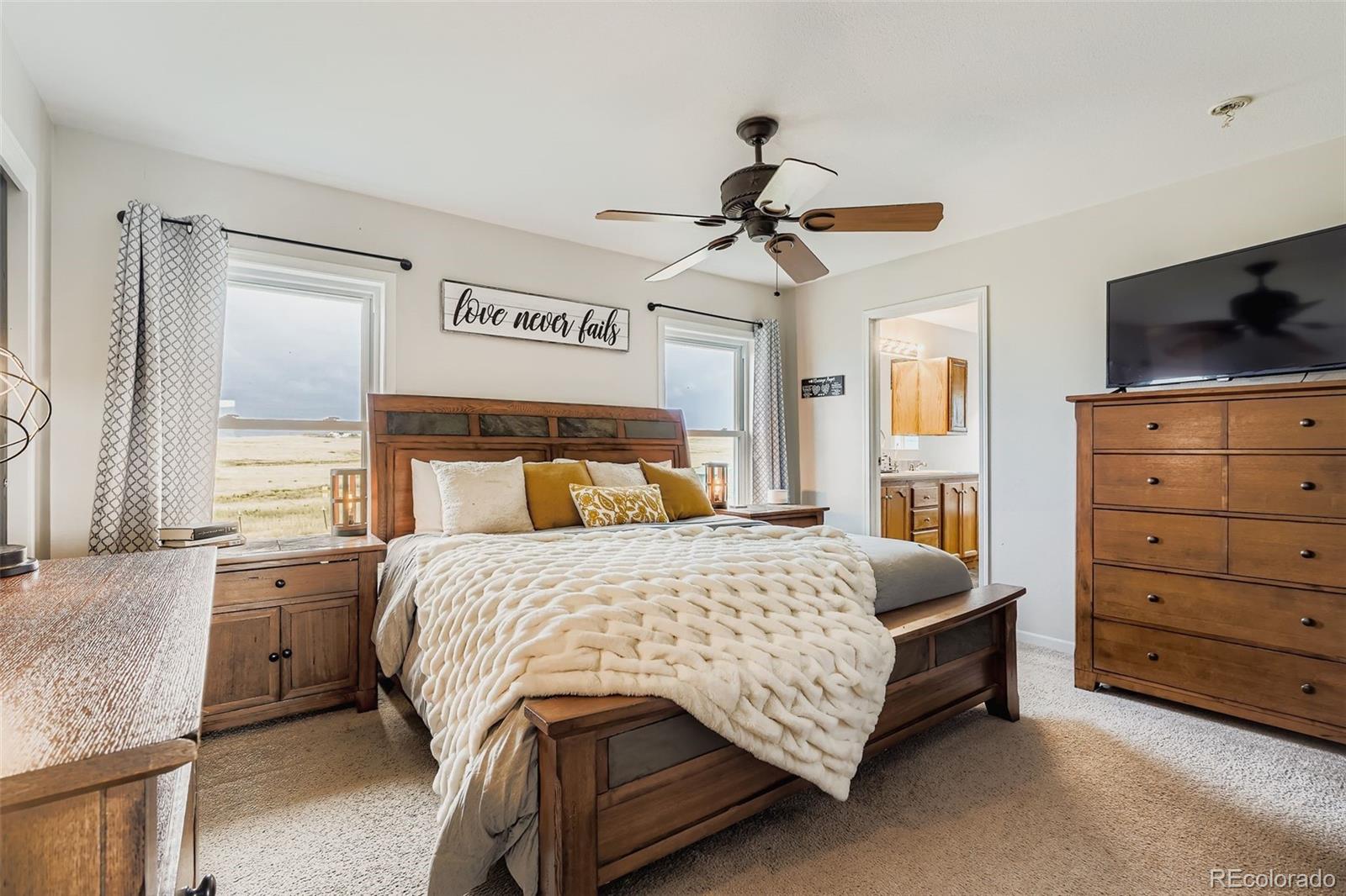 MLS Image #17 for 26540  flower circle,simla, Colorado