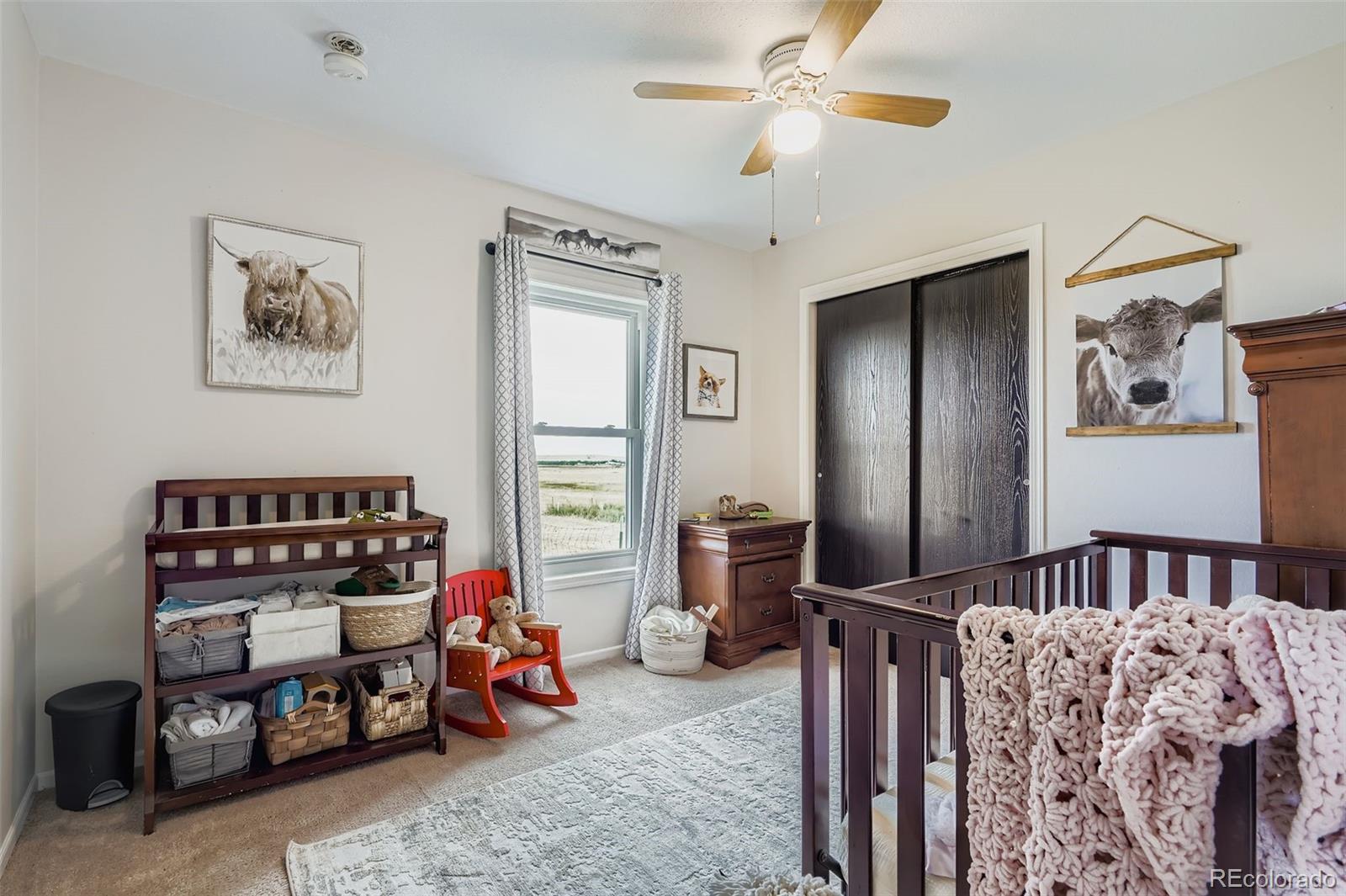 MLS Image #20 for 26540  flower circle,simla, Colorado