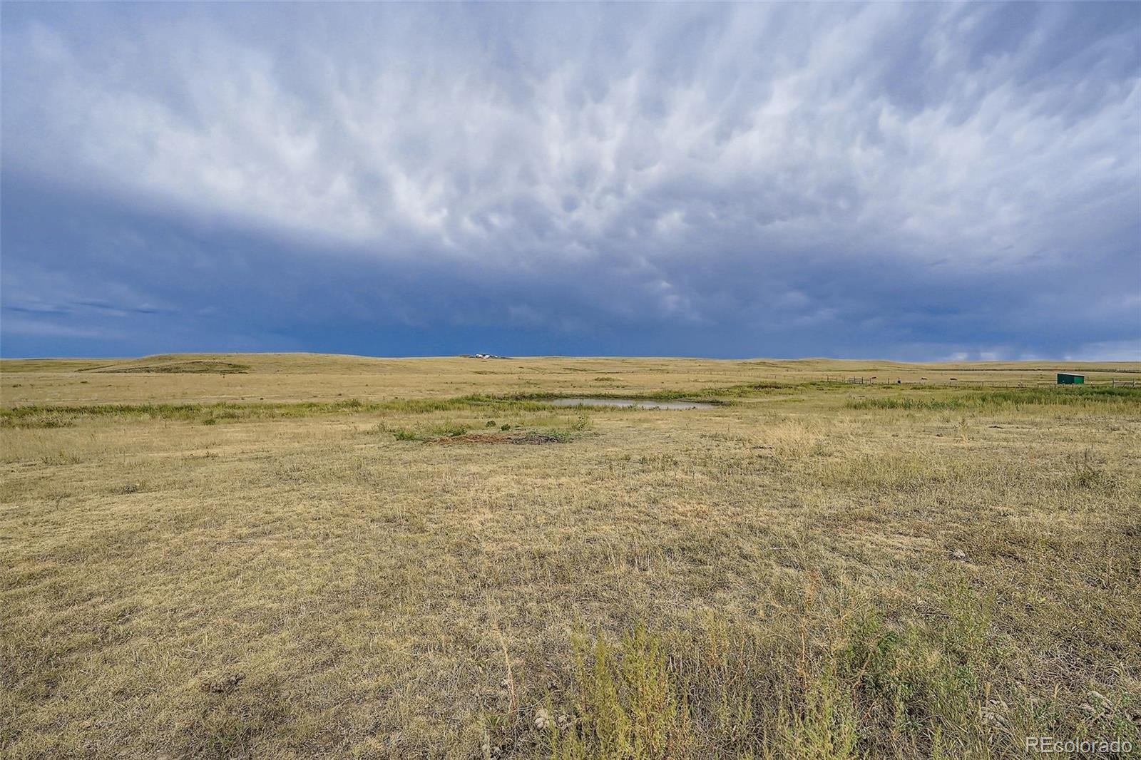 MLS Image #7 for 26540  flower circle,simla, Colorado