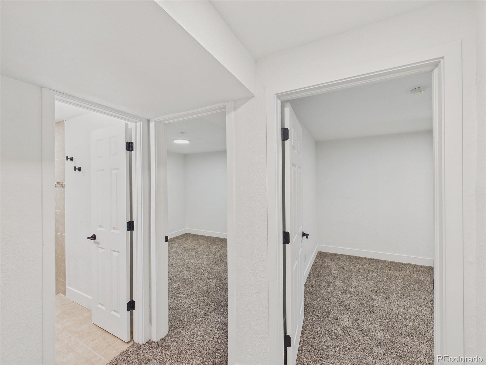 MLS Image #23 for 5519  chandler court,denver, Colorado