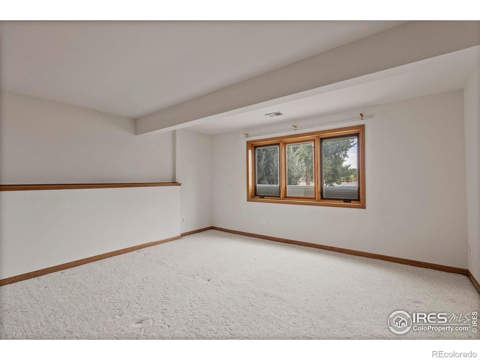 MLS Image #26 for 3508  terry point drive,fort collins, Colorado