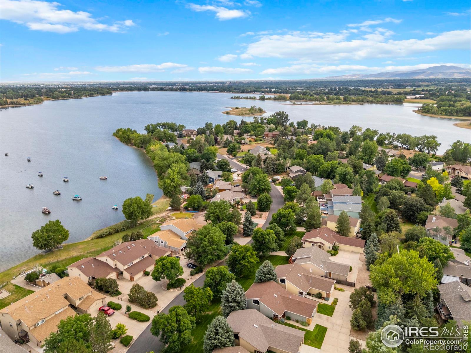 MLS Image #39 for 3508  terry point drive,fort collins, Colorado