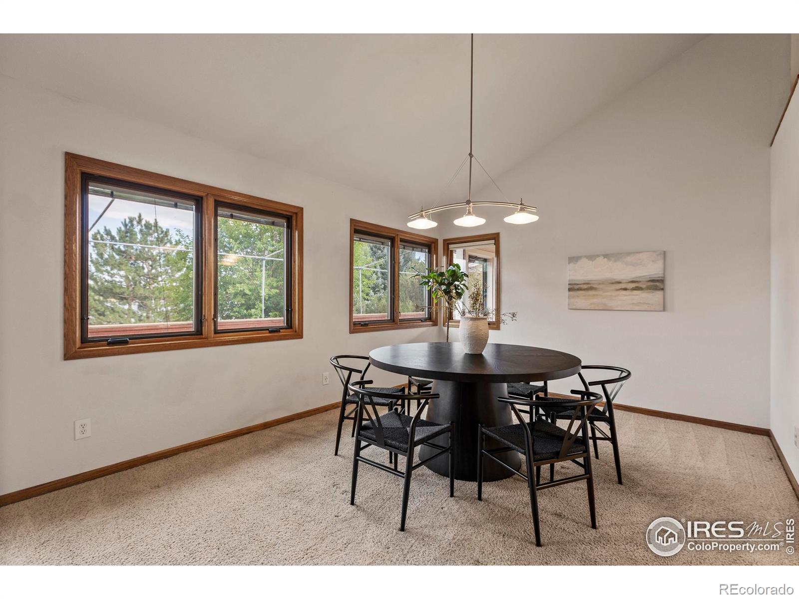 MLS Image #8 for 3508  terry point drive,fort collins, Colorado