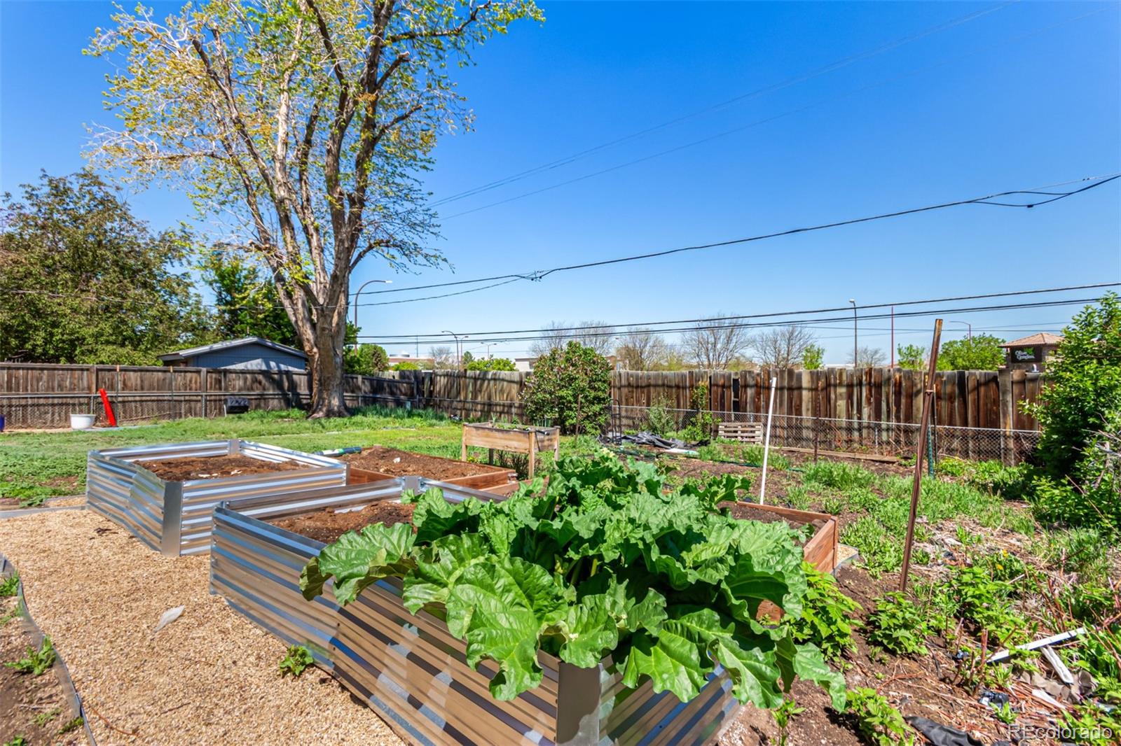 MLS Image #22 for 1081 e 119th place,northglenn, Colorado
