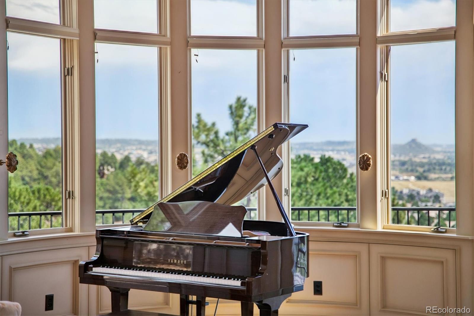 MLS Image #16 for 360  morning star way,castle rock, Colorado
