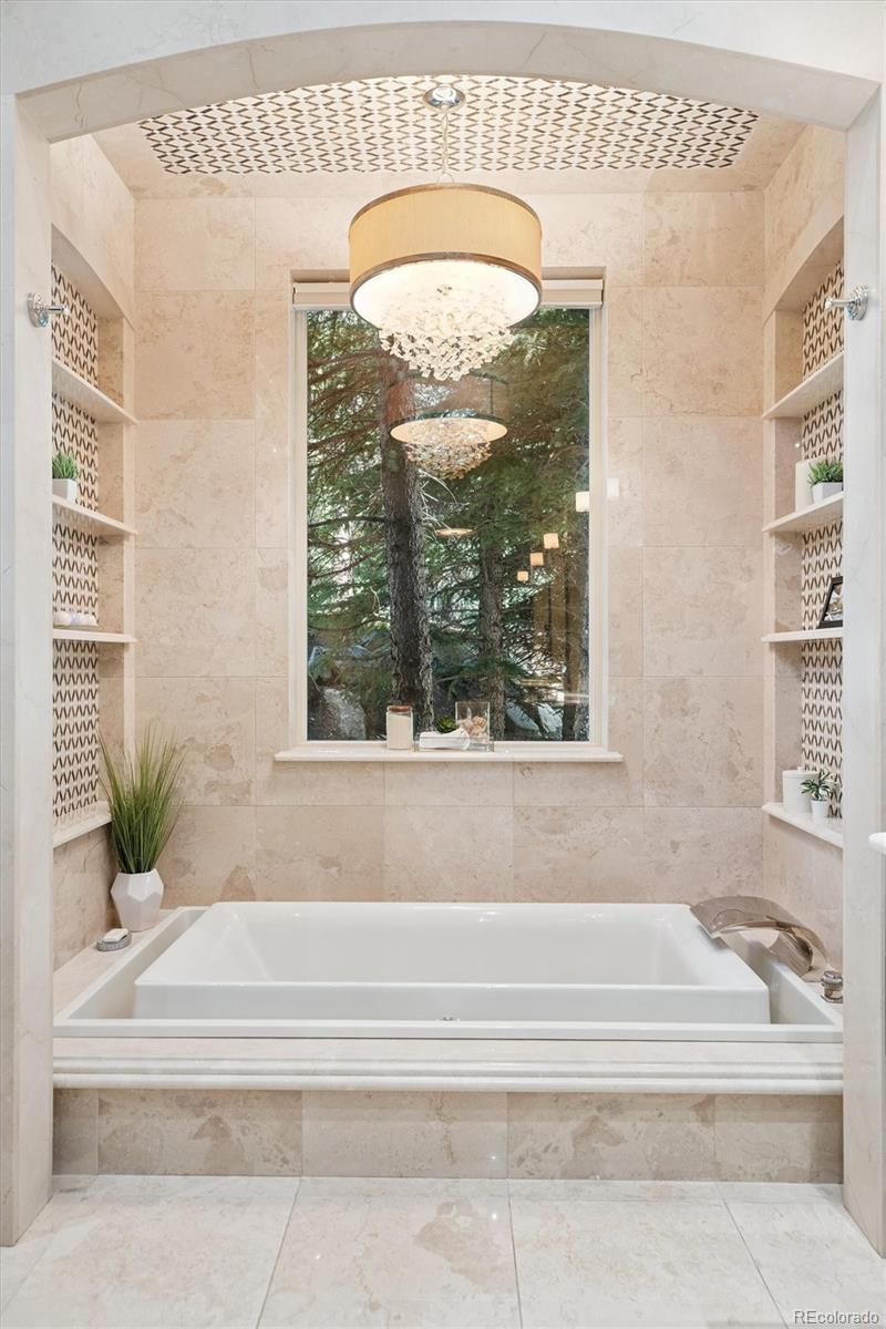 MLS Image #23 for 360  morning star way,castle rock, Colorado